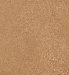 elmotique-43024.jpg